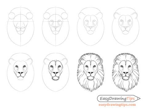 How to Draw Lion Face & Head Step by Step - EasyDrawingTips