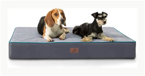 What is an orthopedic dog bed & Why dog need orthopedic bed