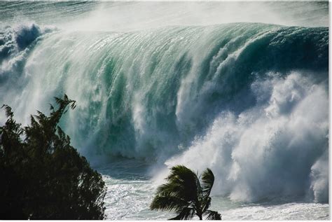 70-foot waves hit Hawaii -- Earth Changes -- Sott.net