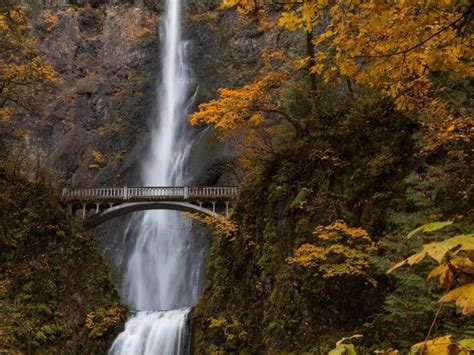 Oregon Archives - Trekaroo Family Travel Blog