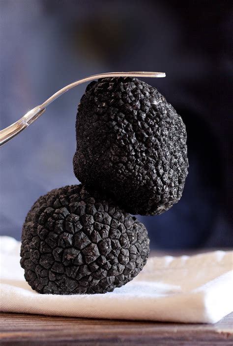 Black Truffle: What Does this Gourmet Ingredient Taste Like?