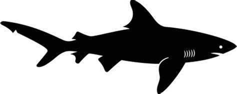 Bull Shark Silhouette at GetDrawings | Free download