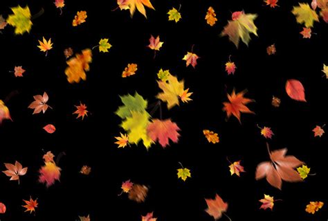 Free Leaf Overlays for Photoshop – 300 Autumn Overlays