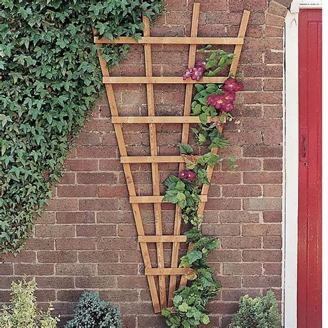 Grange Fan Trellis panel (W)0.9m (H)1.8m | DIY at B&Q