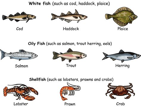 Meat, Poultry and Seafood Vocabulary - ESLBUZZ