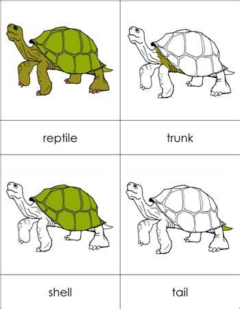 Parts of a Reptile Cards from Montessori for Everyone