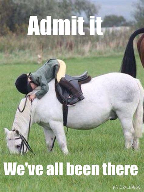 Pin by adysen on horses | Funny horses, Funny horse memes, Horse jokes