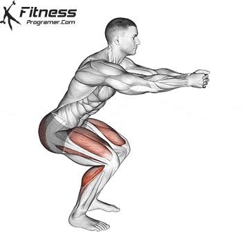 Squat Hold Calf Raise » Workout Planner