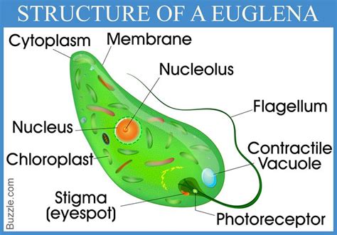 Pin on Science history and alls