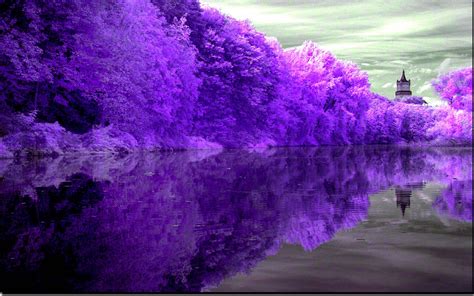 Download Purple Lake Reflection Wallpaper | Wallpapers.com