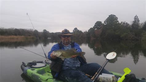 The Adventures of Kayaking Cats!: Kayaking - Lake Bastrop