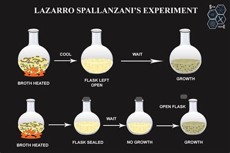 STEM Engine - General Biology 1: SPONTANEOUS GENERATION... | Facebook