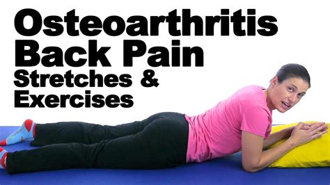 Exercises For Lower Back And Hip Arthritis – Online degrees