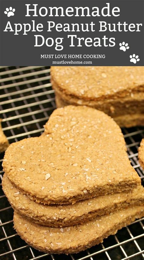 Recipes For Diabetic Dog Treats | Besto Blog