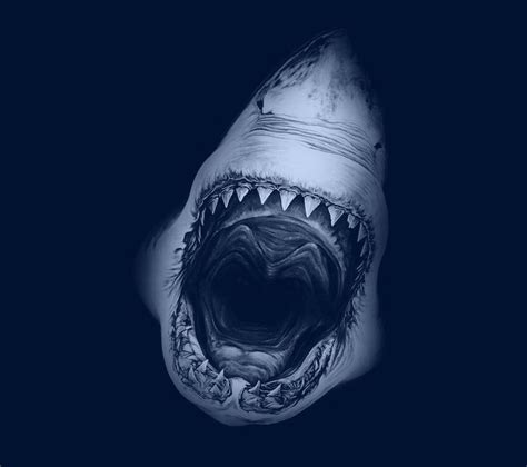 Shark Attack Wallpapers - Wallpaper Cave