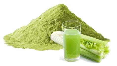 Hot Sale Organic Celery Juice Powder In Bulk - Buy Organic Celery Juice ...