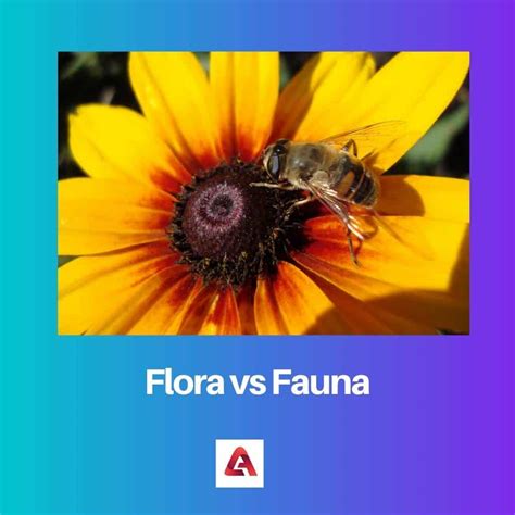 Flora vs Fauna: Difference and Comparison