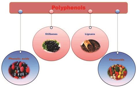 Pharmaceuticals | Free Full-Text | Plant Polyphenols for Aging Health ...