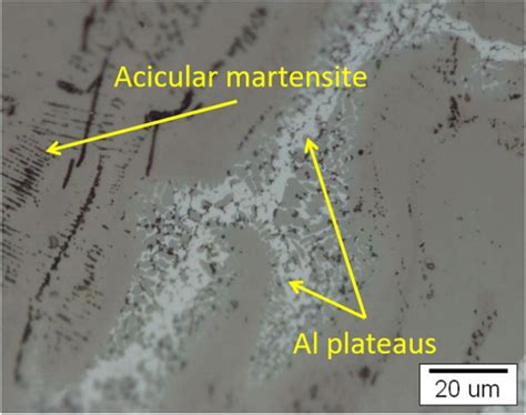 Formation of acicular martensite at Ti FZ | Download Scientific Diagram