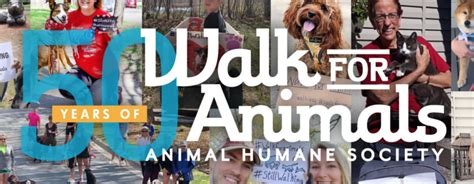 Giving Back - Animal Humane Society Walk for Animal