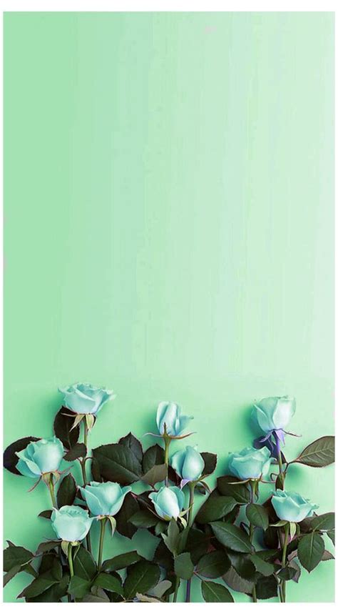 40 Mint Green Wallpaper Backgrounds For Iphone | Mint green wallpaper ...