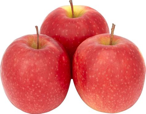 Pink Lady®Cripps Pink CV. Apples - Womack Nursery