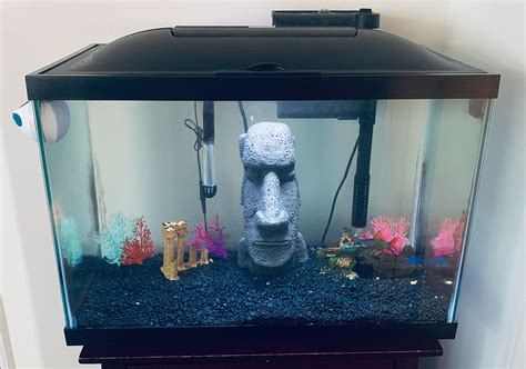 Best 10-Gallon Fish Tanks Available - Top 6 of 2021