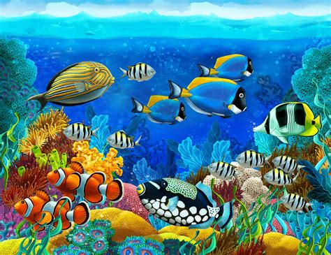 Underwater Fish Wallpaper - WallpaperSafari