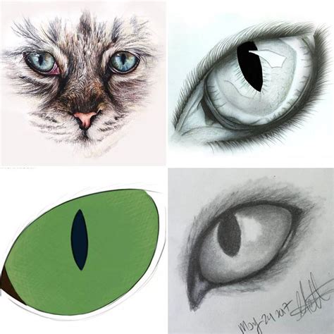 25 Easy Cat Eye Drawing Ideas - How to Draw a Cat Eye