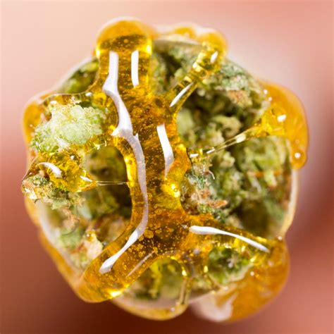 Hash Oil is Booming in India - CannaDaily