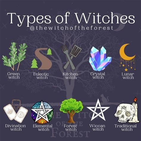 The Witch of the Forest ☾ on Instagram: “🧙🏻 T𝕪𝕡𝕖𝕤 𝕠𝕗 W𝕚𝕥𝕔𝕙𝕖𝕤 🧙🏼‍♂️ I’ve ...