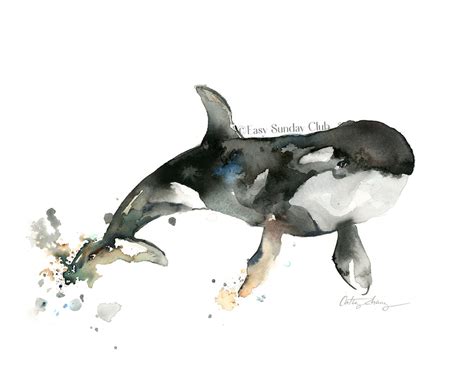 Orca (Killer) Whale Original Watercolor Painting – Easy Sunday Club