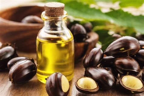 When to Apply Castor Oil: A Comprehensive Guide to Its Multifaceted ...