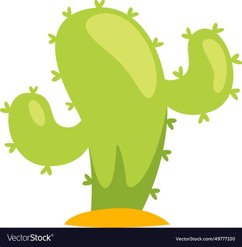 Cactus desert plant Royalty Free Vector Image - VectorStock