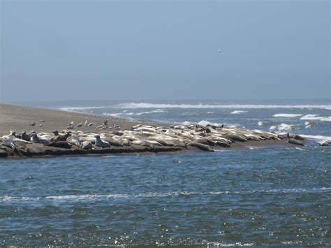 Gleneden Beach Travel Guide: Best of Gleneden Beach, Oregon Travel 2024 ...