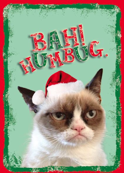 Grumpy Cat: BAH HUMBUG