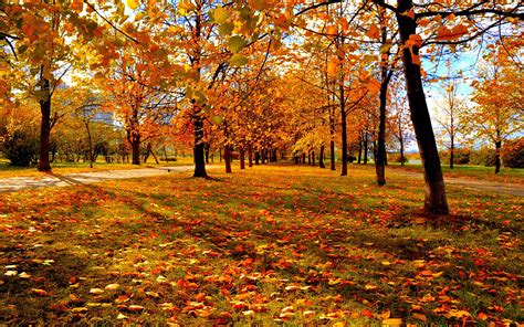 Autumn Park Wallpapers - Wallpaper Cave