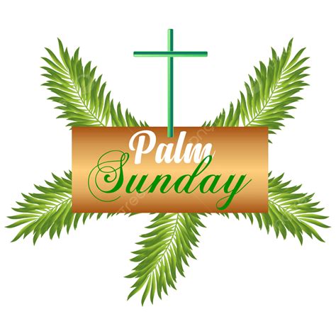 Palm Sunday Vector Png Images Palm Sunday Transparent Background Palm ...