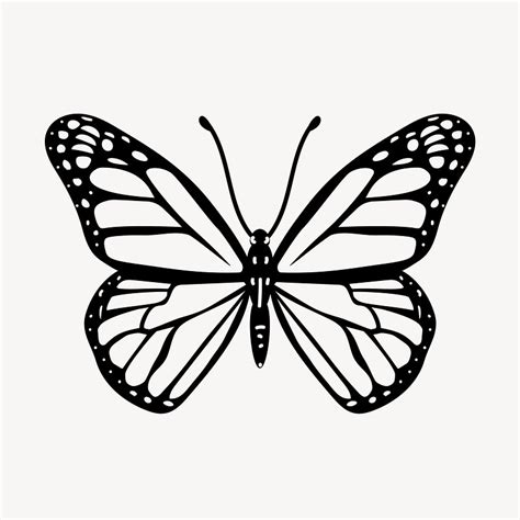 Butterfly Outline Images | Free Photos, PNG Stickers, Wallpapers ...