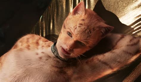 ‘Cats’ Trailer Reactions: Critics Horrified by First Footage | IndieWire