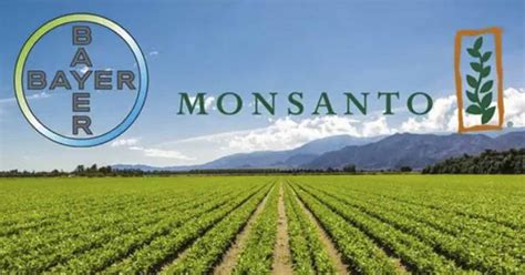 Investors Demanding Billions From Monsanto As Part of Class Action ...