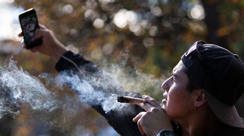 What a 30-day break from smoking marijuana does to your brain - MarketWatch