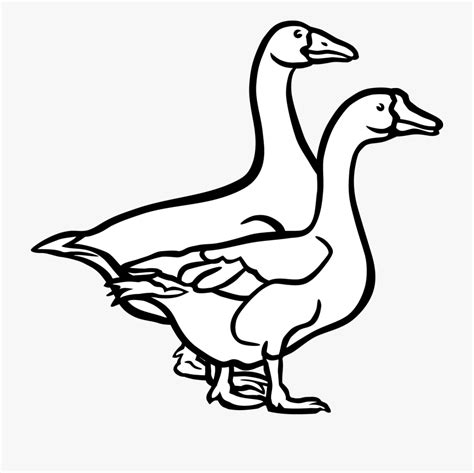 Goose clipart charlotte's web, Goose charlotte's web Transparent FREE ...