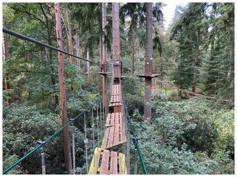 High Ropes Climbing & Zip Lining at Go Ape Thetford Forest - England ...