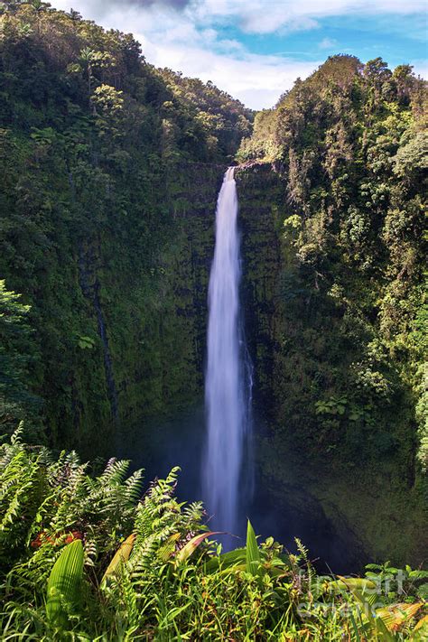 Akaka Falls, Akaka Falls State Park, Hilo, Big Island, Island of Hawaii ...