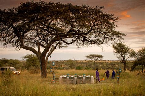 Four Seasons Serengeti - Tansania Safaris