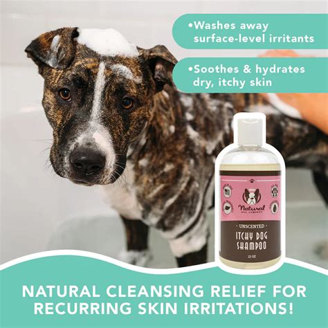 Natural Dog Itchy Dog Shampoo For Sale In San Antonio, Texas