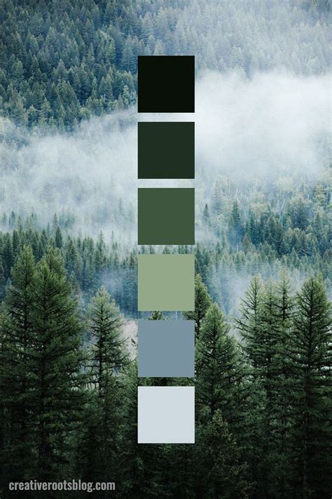 Muted forest green color palette idea – Artofit