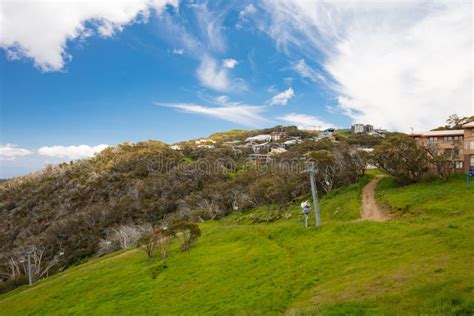 Mount Buller Walking And Biking Trails In Summer Stock Photo - Image of ...