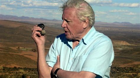 WCS Earth Blog: DAVID ATTENBOROUGH: FIRST LIFE